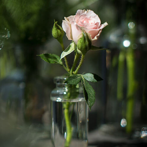 Catering Company Hampshire